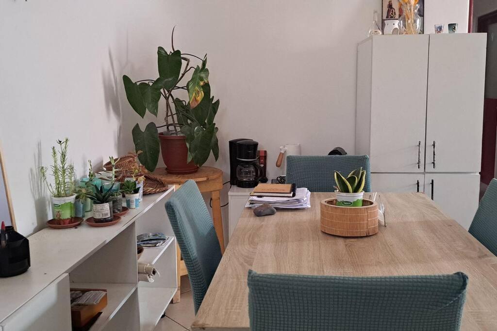Mendes Family Homestay - B&B In The Heart Of Praia Exterior foto
