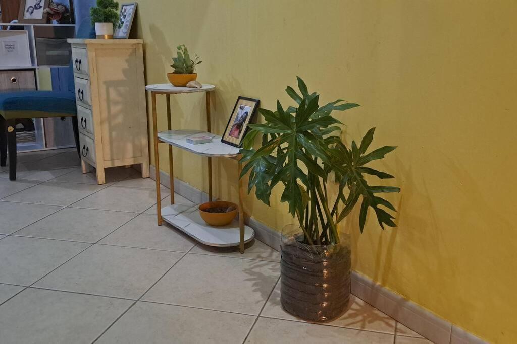 Mendes Family Homestay - B&B In The Heart Of Praia Exterior foto