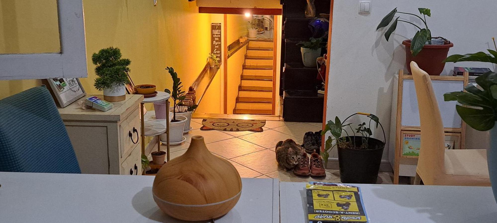 Mendes Family Homestay - B&B In The Heart Of Praia Exterior foto